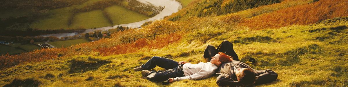 שירות טויוטה