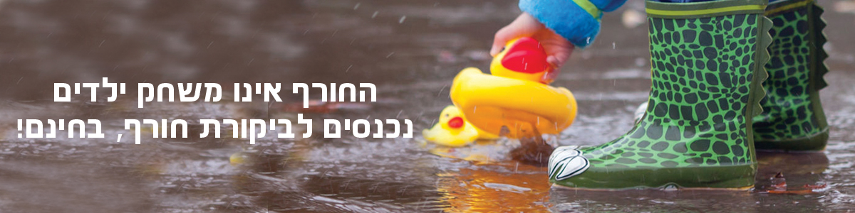 טויוטה בדיקת חורף