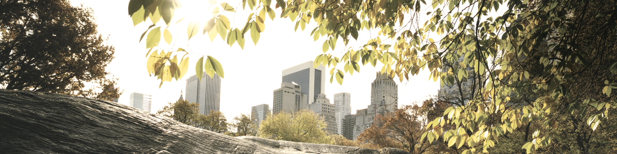 טויוטה אביזרים