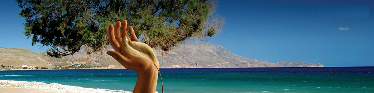 טויוטה היברידית