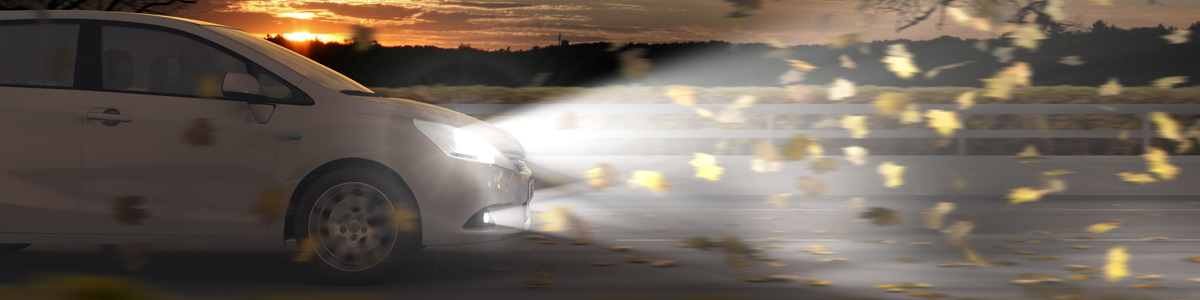 טויוטה חיפה