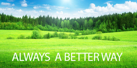 טויוטה היברידי