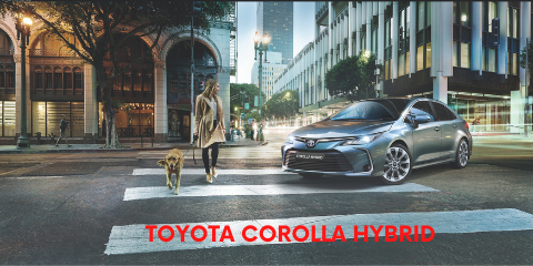 החידושים בטויוטה קורולה החדשה