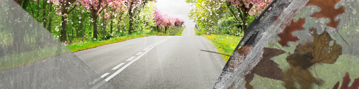 טויוטה היברידית