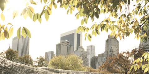 טויוטה אייגו היברידית