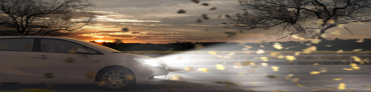 טויוטה חדשה