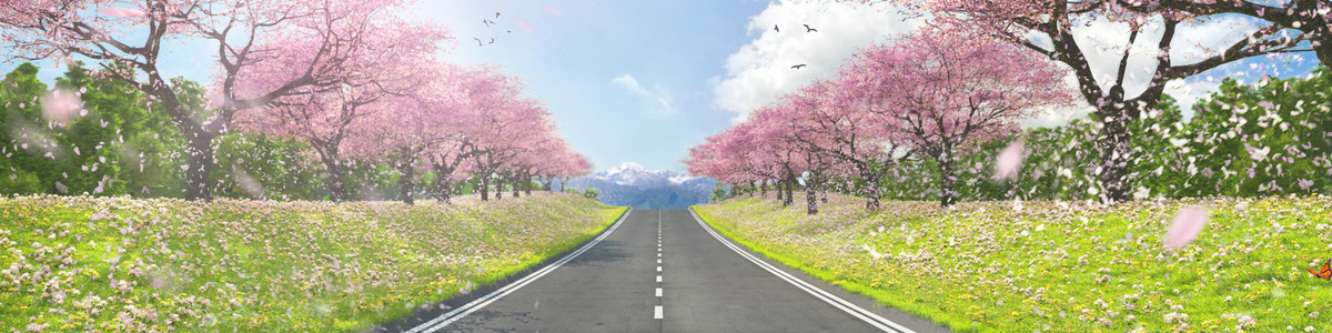 טויוטה היברידית