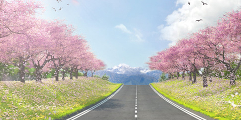 טויוטה חדשה